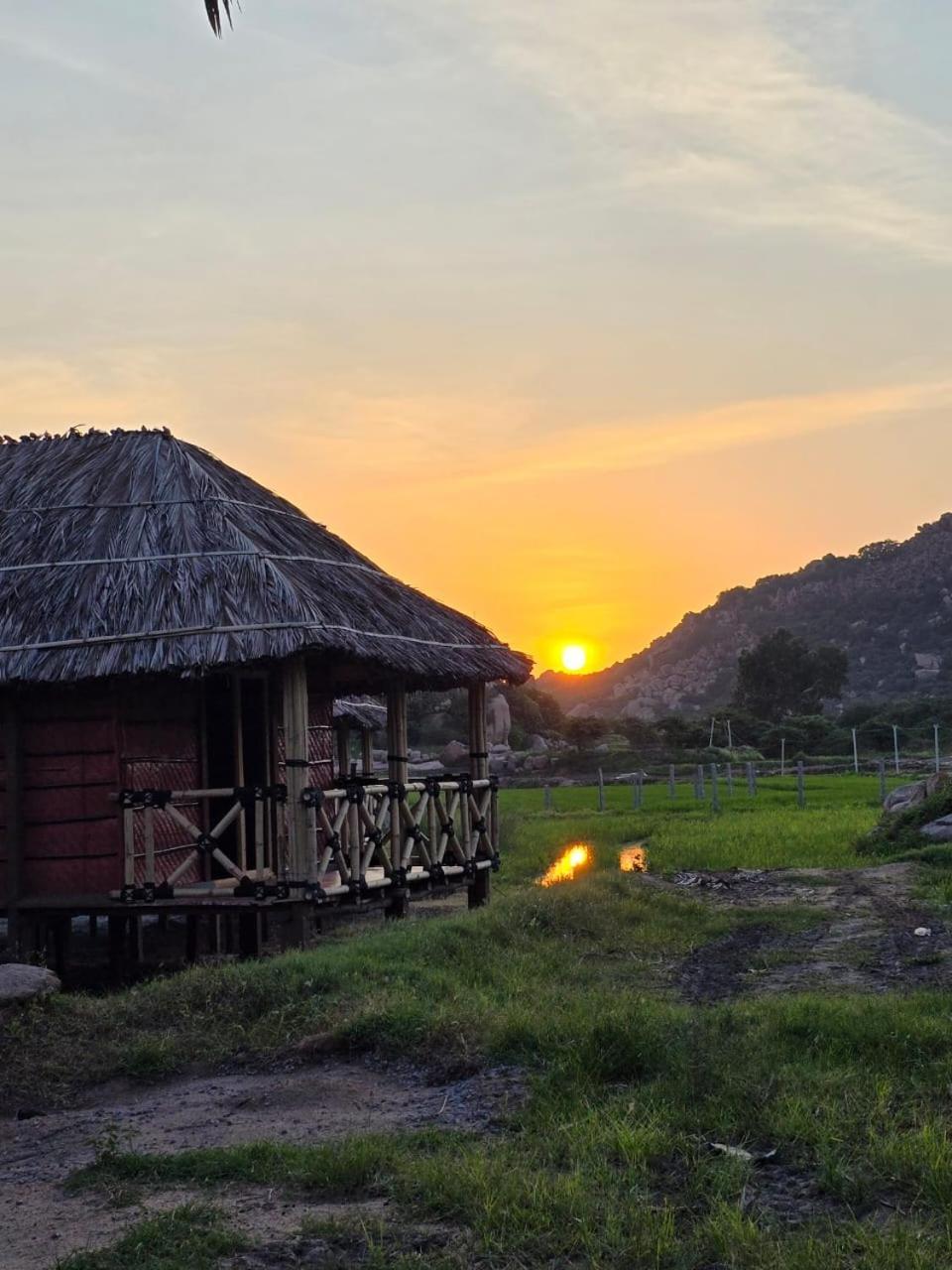 Golden Chariot Resort Хампи Экстерьер фото